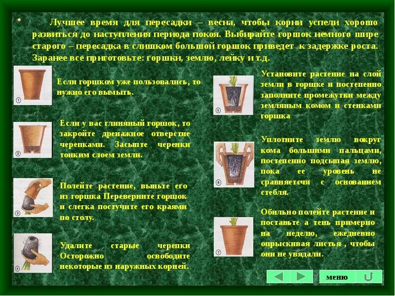 Инструкция как пересадить цветок. Для пересадки растений. Технологическая карта пересадка комнатных растений. Пересадка цветов в глиняный горшок. Лучшее время для пересадки комнатных растений.