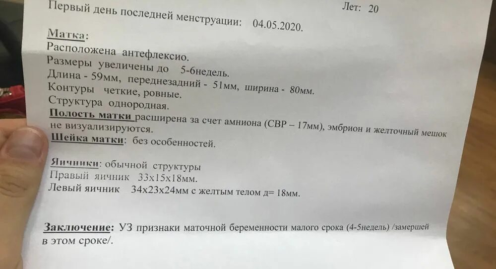 Через сколько беременели после замершей. Заключение о замершей беременности. Критерии замершей беременности. Неразвивающаяся беременность УЗИ. Замершая беременность на раннем сроке.