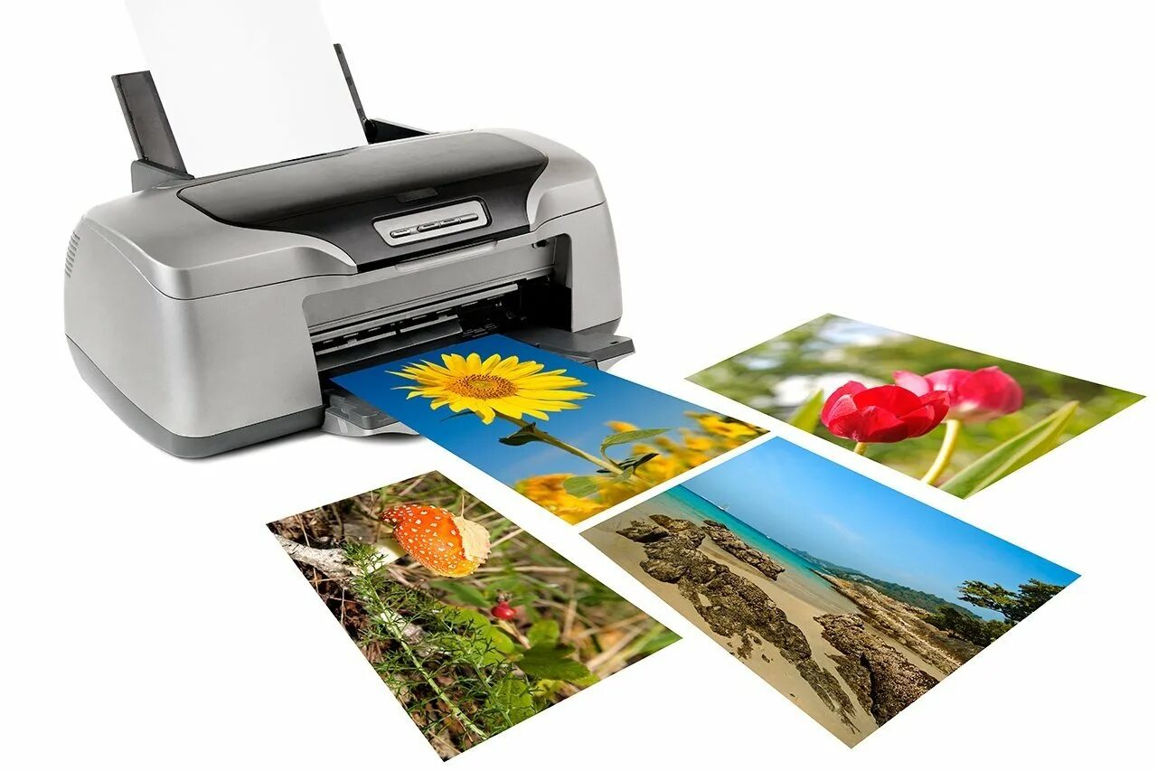 Оборудование для печати на холсте. Принт для вышивки на ткани. Цветная лазерная печать и струйная. Принто печать на холсте. Для распечатки на принтере.