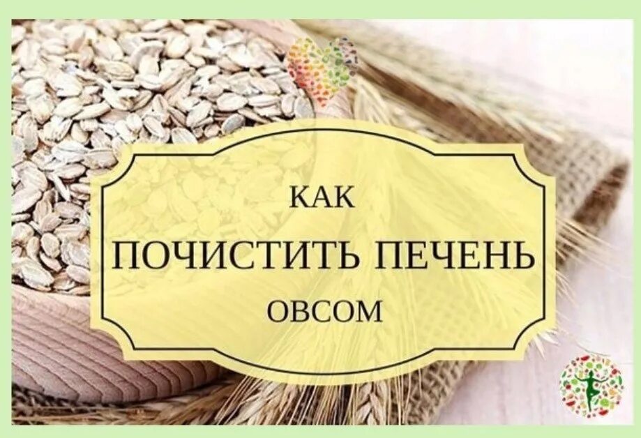 Очистка печени овсом в домашних условиях. Как почистить печень. Как почистить печень овсом. Овес чистит печень. Овёс для очищения печени.