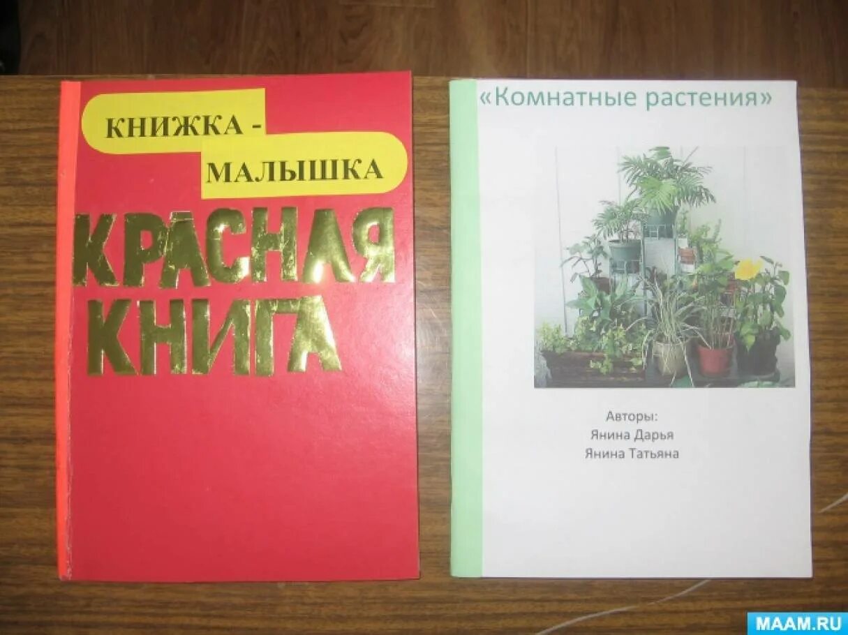 Книжка малышка красная книга 2 класс. Книжка-малышка красная книга своими руками. красная книга своими руками. книжка малышка крснаякнига. книга растений своими руками.