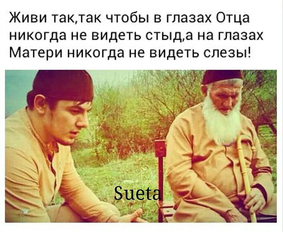 Я папу никогда не видела. Живи так чтобы в глазах отца. Ведите себя так чтобы голова отца никогда. Живи так чтобы в глазах отца никогда не видеть стыд. Шабан Фарзалиев.