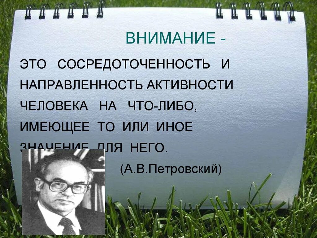 Высказывания о внимании. А В Петровский цитаты. Внимание. Афоризмы о сосредоточенности. Сосредоточенность цитаты.