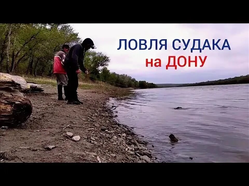Ловим судака на дону. Ловим судака на дону