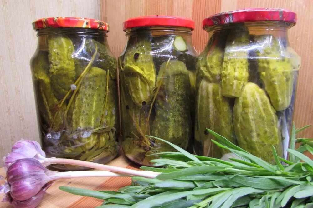 Огурцы с семенами горчицы. Огурцы добавить. Огурцы добавить. Огурцы добавить. Салат из огурцов с луком и укропом.