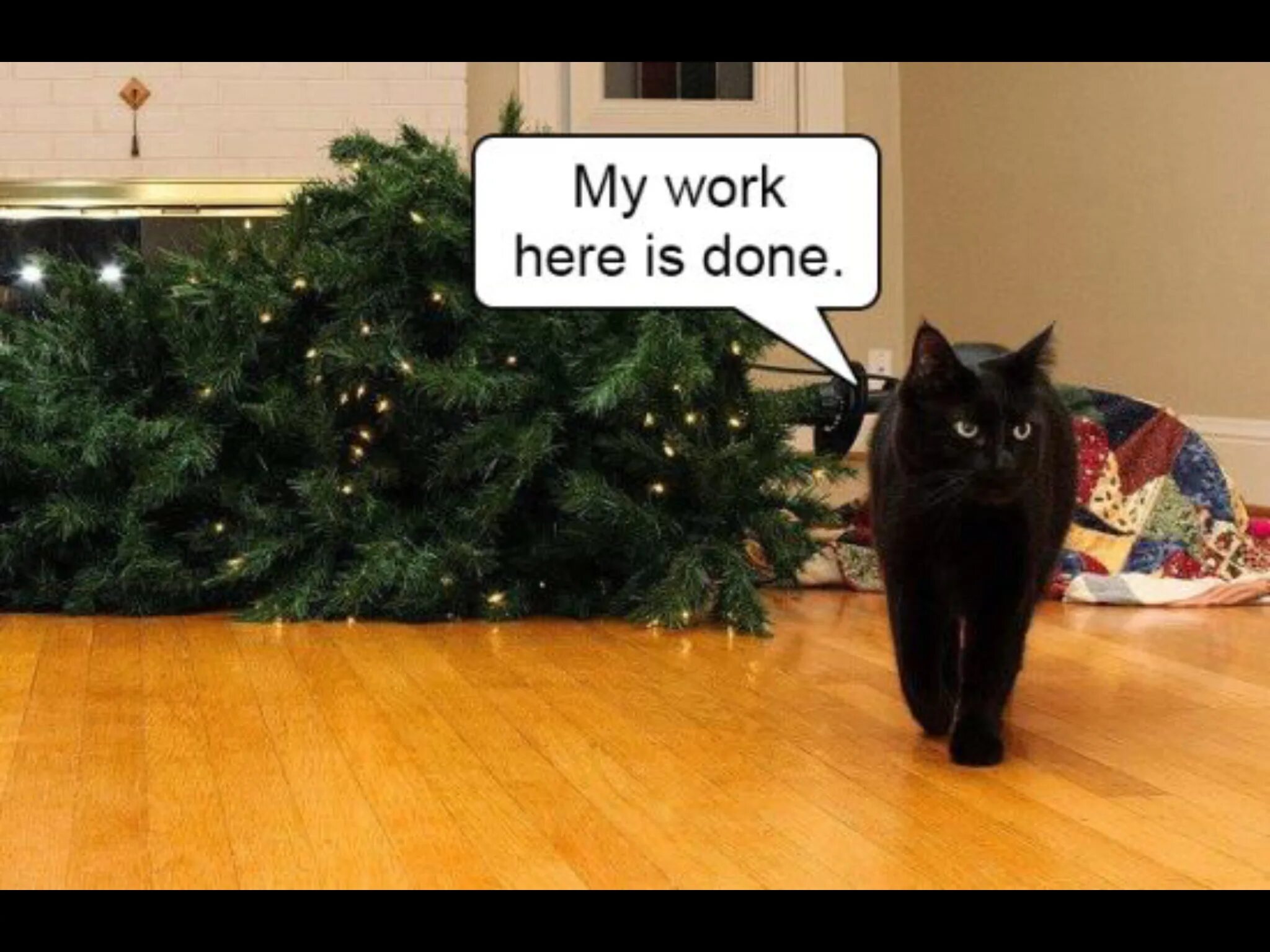 You like working here. Кошка уронила елку my work is done. Memes about Christmas Tree. My work here is done. Мем i Knocked down the Xmas Tree.