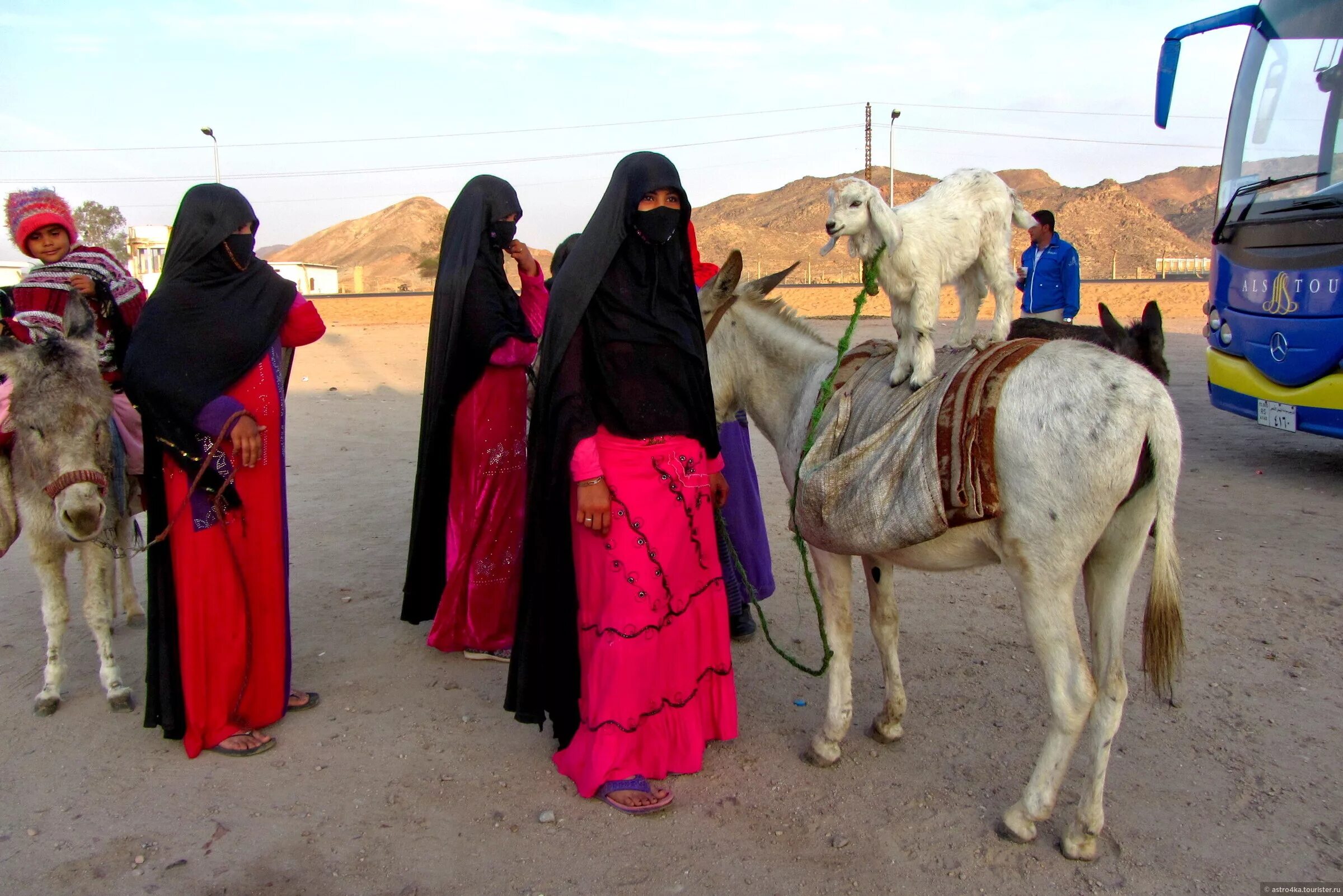 Верхняя одежда бедуинов 6 букв. Бедуины Саудовской Аравии. Бедуины в Египте. Бедуины в пустыне Египта. Жители пустыни бедуины Египет.