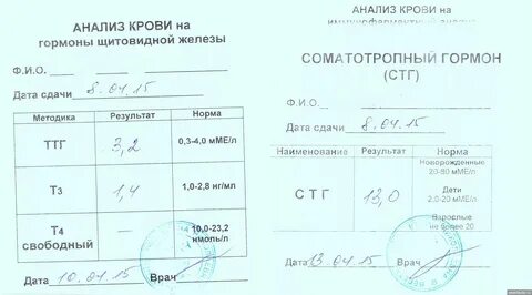 Анализ на ттг т3 и т4 SEOMani.ru