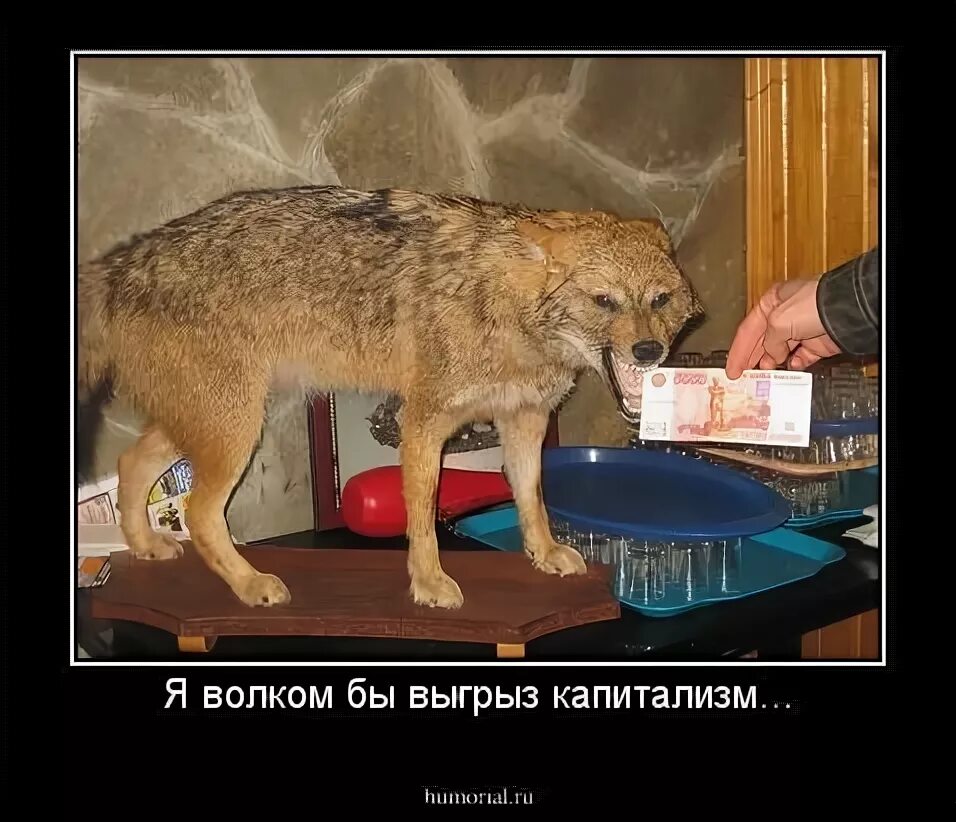 Владимир маяковский советский паспорт. "стихи". Я волком бы выгрыз бюрократизм. Маяковский стихи я волком бы выгрыз бюрократизм. Я волком бы выгрыз бюрократизм.