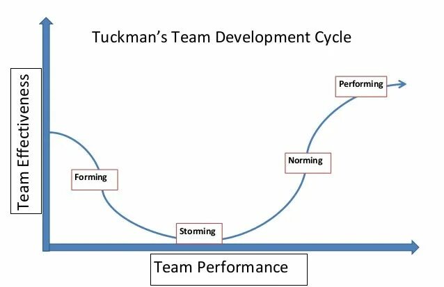 Forming storming Norming модель Такмана. Стадии формирования команды forming storming. Форминг шторминг Норминг перформинг групповая динамика. Модель брюса такмана