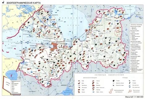 Ленинградская область 2023 год