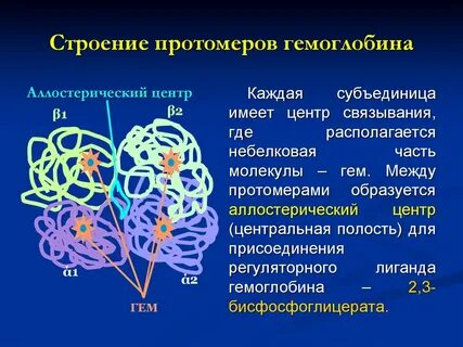 Четвертичная структура олигомерных белков