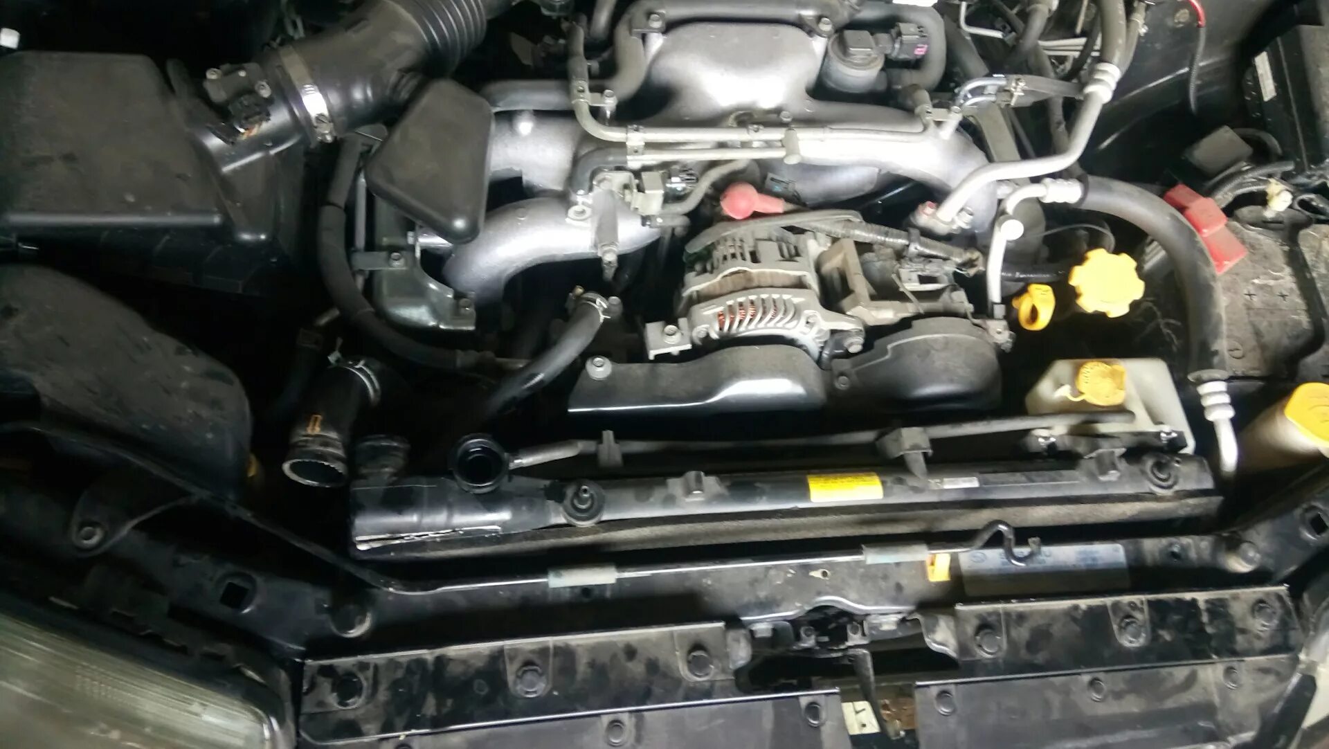 Радиатор subaru forester sg5. Радиатор subaru forester sg5