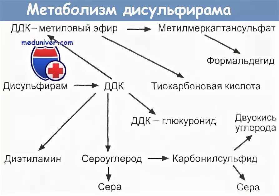 Дисульфирам сколько держится. Метаболизм дисульфирама. Выведение дисульфирама из организма. Механизм действия дисульфирама. Период выведения дисульфирама из организма.