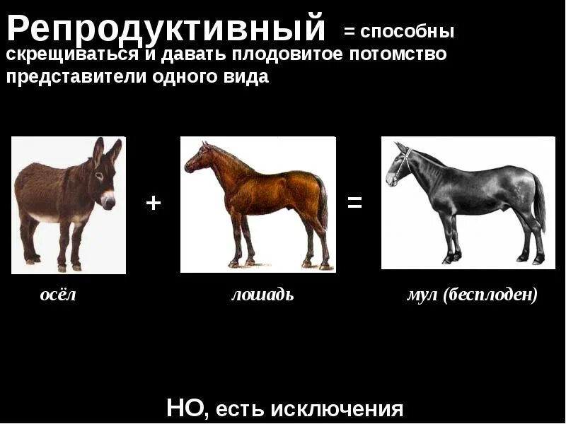 Способность давать плодовитое потомство