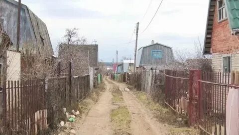Нтр 24