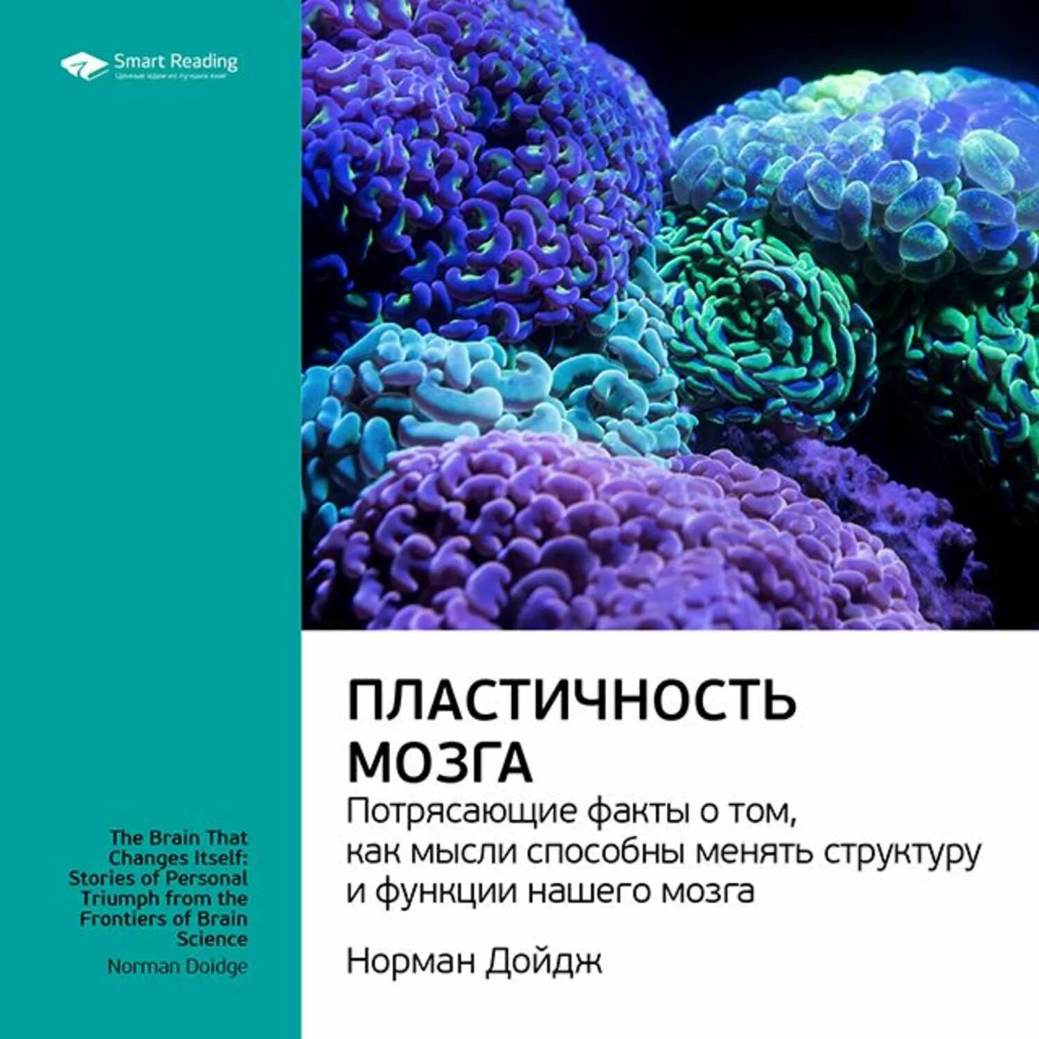 Пластичность мозга. Нейропластичность мозга Дойдж. Мозг пластичен