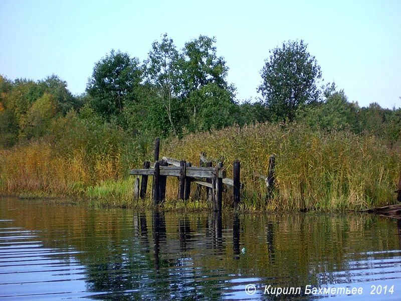 Кобона ленинградская. Кобона река верховья. Погода в кобоне. Река кобона. Кобона памятник.