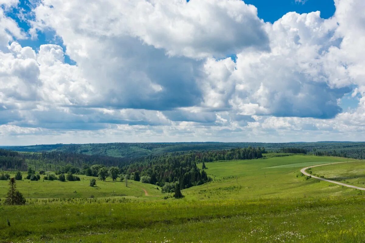 Есть на среднерусской земле. Заповедный луг Рязань. Родные просторы Татарстан. Колвицкий заказник. Просторы Смоленщины.