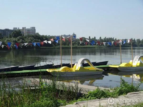 Дельфин ул остужева 2в фото. Парк на Остужева. Аттракционы Воронеж Дельфин. Дельфин на Остужева Воронеж. Воронеж улица Остужева 2в Дельфин.