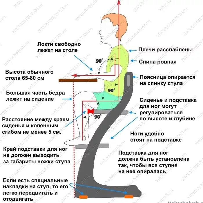 Как правильно разрастаются. Растущий стул правильная посадка. правильное положение на растущем стуле. регулировка растущего стула. растущий стул чертеж.