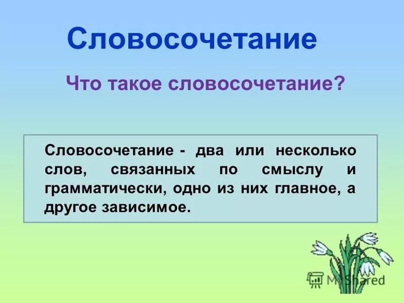 огородный словосочетание. морковь информация для детей. виды связи в словосочетаниях таблица. огородный словосочетание. доклад про морковь.