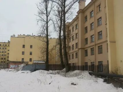 Школа 80 спб