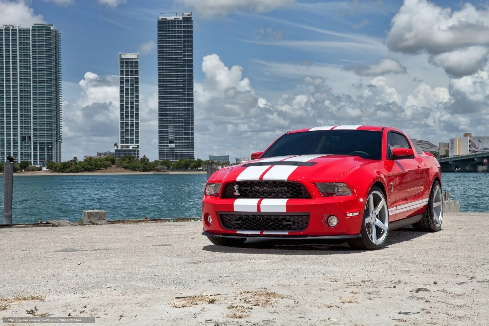 Бело красный автомобиль. Форд Мустанг Shelby gt 500 красный. Форд Мустанг красный 2012. Ford Mustang Shelby gt500 красный. Форд Мустанг srt.