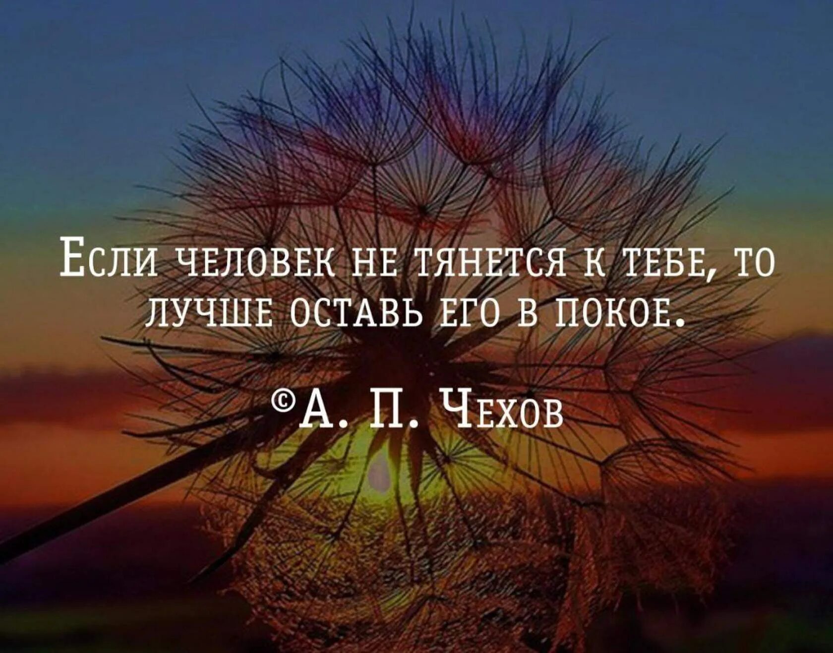 Оставьте мир в покое. Хорошие цитаты. Лучшие высказывания о неблагодарности. Афоризмы про неблагодарных людей. О неблагодарности людей Мудрые мысли.