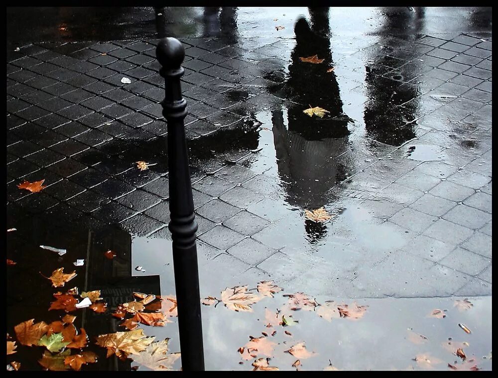 Дождь осень депрессия. Холодная осень в городе. Лужа в городе осень. Осень дождь асфальт.