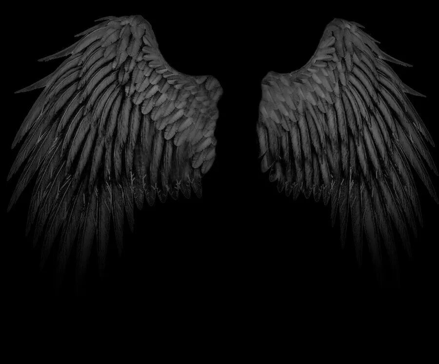 Черные ангельские Крылья. Крылья ангела черные. Черные Крылья на черном фоне. Крылья темного ангела. Крылья на черном фоне
