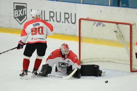 Лев буран