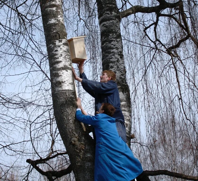 Изображение весны для детей. Добрые поступки детей. На каждом дереве ребята повесили. На каждом дереве ребята повесили. На каждом дереве ребята повесили.