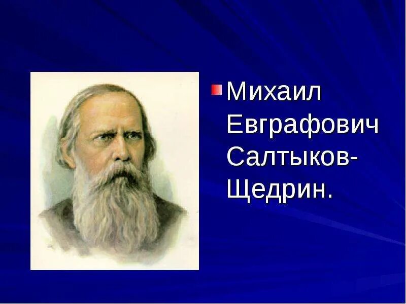 Толстой и салтыков щедрин. Салтыков щедрин. салтыков-щедрин портрет писателя. михаила евграфовича салтыкова-щедрина.