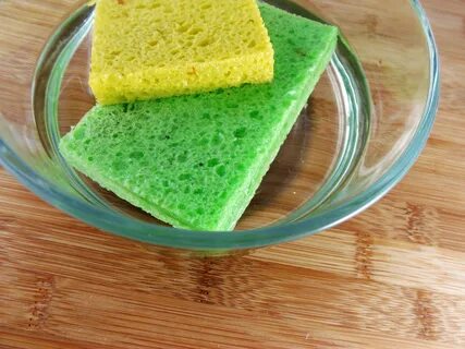 Berenice sponge
