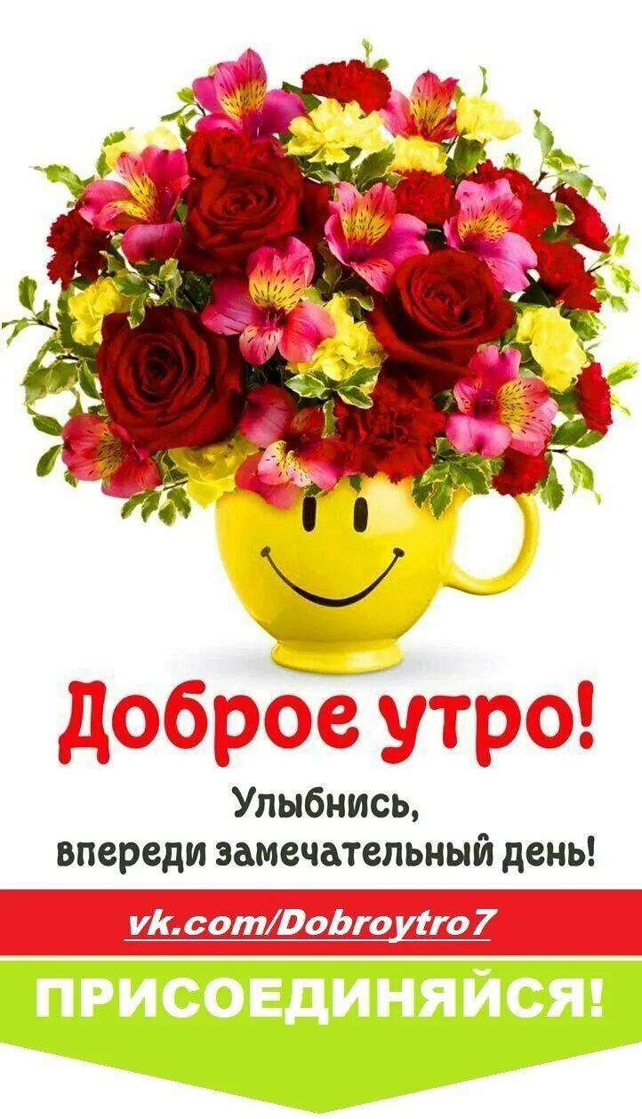 Добрый утро цветы яркие