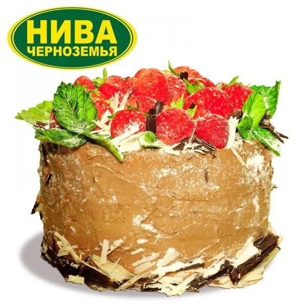 Торты нива железногорск каталог. Торт нива. Торт князь нива черноземья. Торт нива черноземья каталог. Торты нива железногорск каталог.