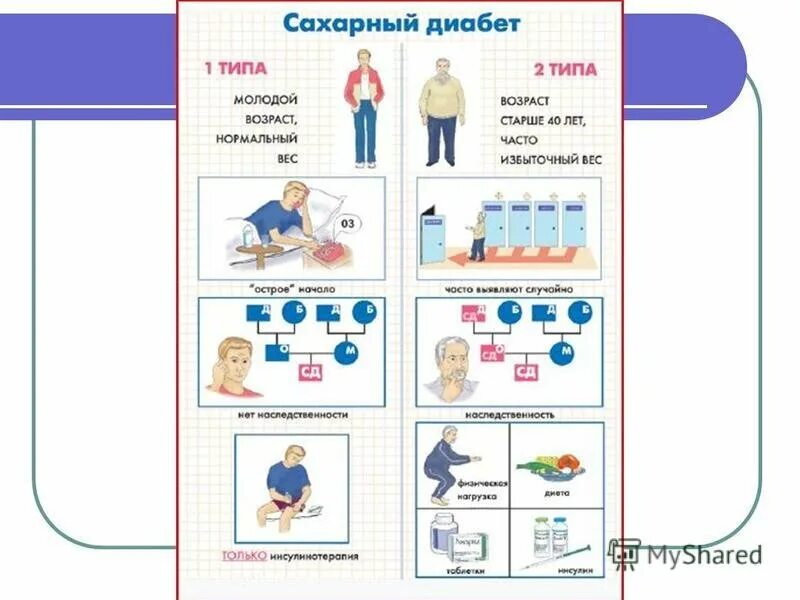 Сам 1 тип