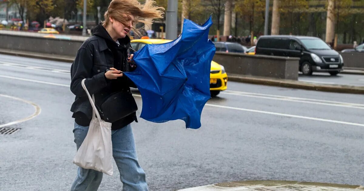 Ветер уровень опасности. Сильный ветер. ветер в городе. очень сильный ветер. сильный ветер в москве.