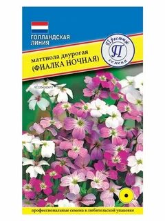 Ночная фиалка семена