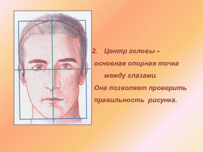 Таламус гипоталамус гиппокамп миндалевидное тело. Центр головы. Центр голова. Центр голова. Вид голова.