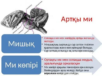 Қытай порно массаж онлайн жасырын камера