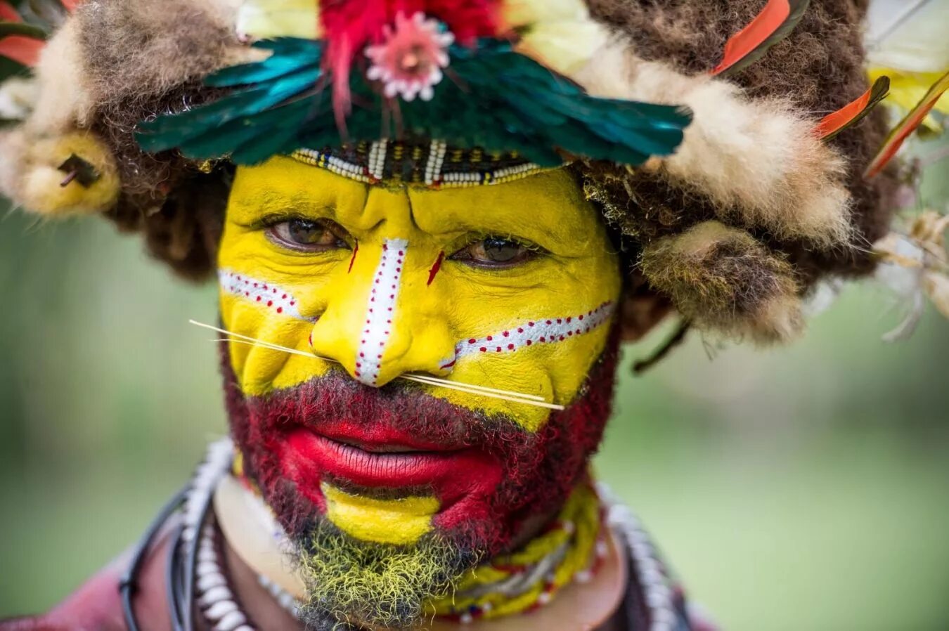Папуа — новая Гвинея. Папуасы новой Гвинеи. Папуасы новой Гвинеи фото. Национальный костюм Папуа новая Гвинея.