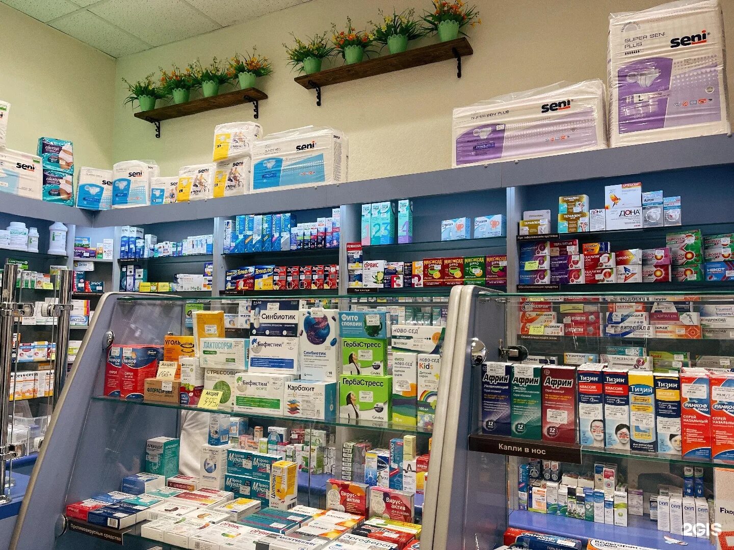 аптека мой доктор томск каталог. аптека мой доктор томск каталог. аптека мой доктор томск котовского 28. аптека мой доктор томск каталог. ул фрунзе иркутск.