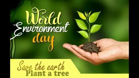 Plant day