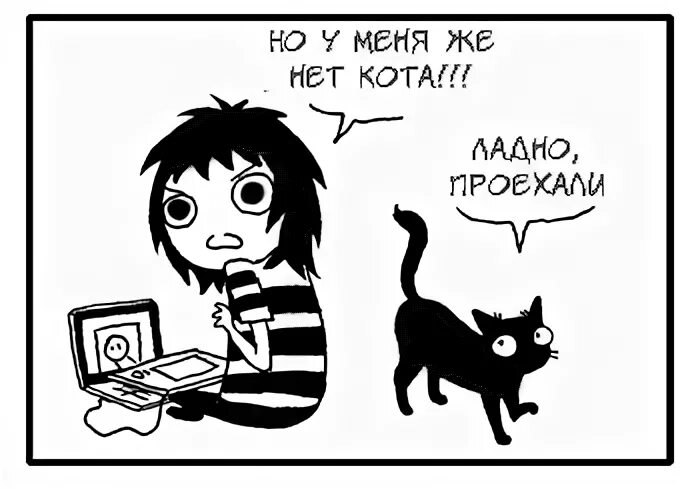 Кот нет. Котик ладно. да ладно котик. котик нет. котик нет нет нет.