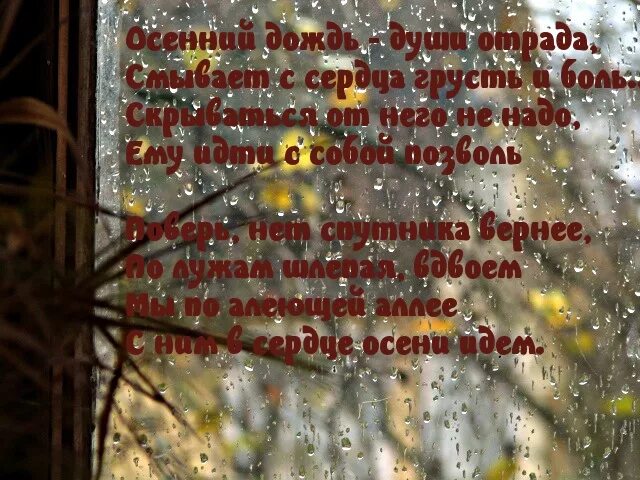 Пожелания в дождливый день. Поздравление с дождем. Дождливый день стихи. Дождливая осень с пожеланиями.