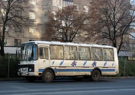 Паз 3