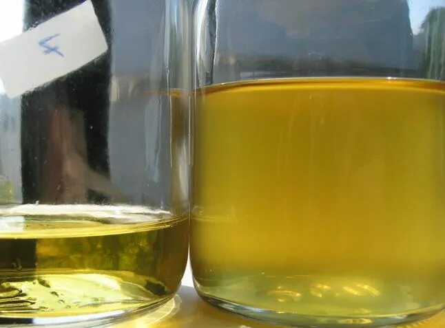 Почему масло назвали маслом. Эмульсия растительного масла. Помутнение растительного масла. Эмульсия подсолнечного масла. Мутное масло.