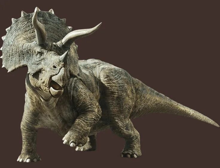 Мир трицератопсов. Трицератопс jurassic world. трицератопс jurassic park. трицератопс мир юрского периода 3. мир юрского периода 2 трицератопс.